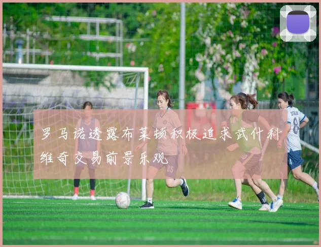 罗马诺透露布莱顿积极追求武什科维奇交易前景乐观